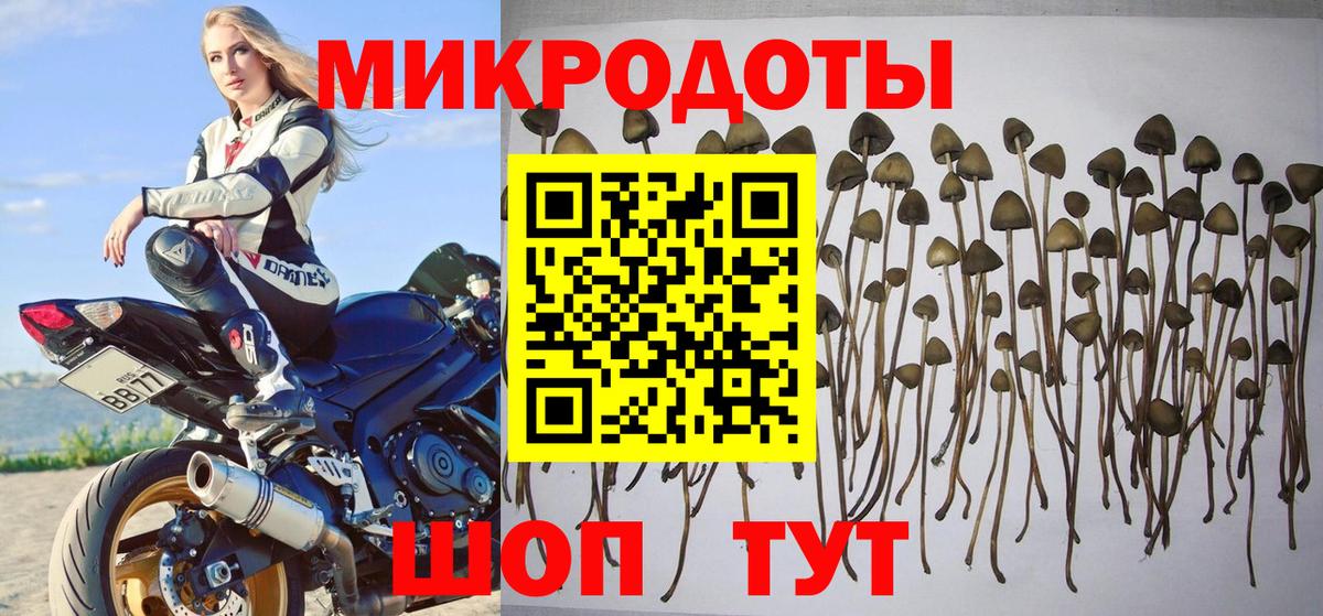 Ростов-на-Дону  Псилоцибиновые грибы мухоморы  Вход с VPN  Псилоцибиновые грибы прущие грибы 
