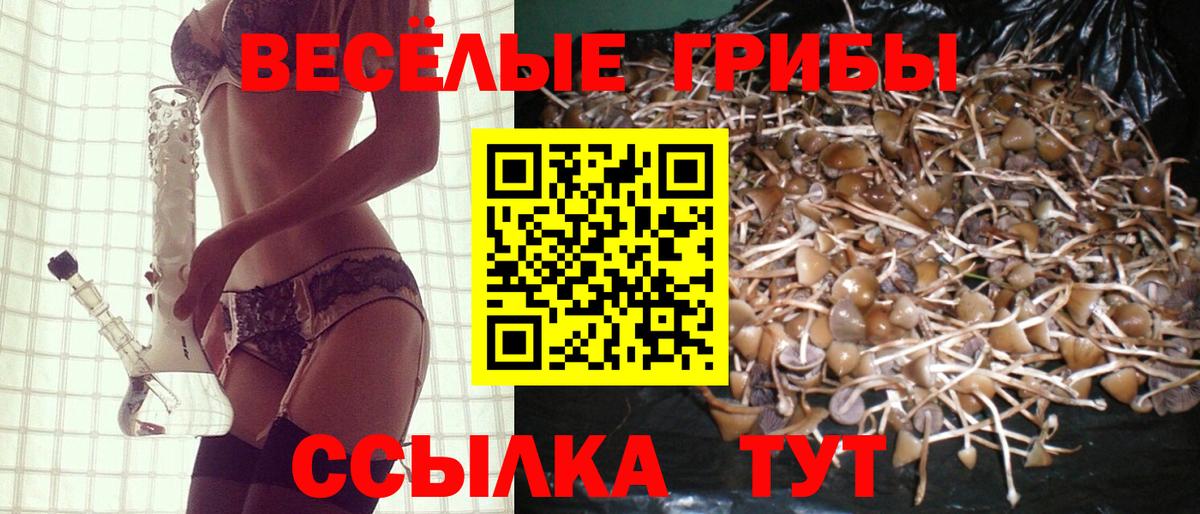 Псилоцибиновые грибы GOLDEN TEACHER Ростов-на-Дону